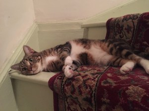 The Lovely Jasmine!!